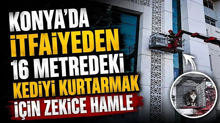 Konya'da itfaiyeden 16 metredeki kediyi Kurtarmada zekice hamle