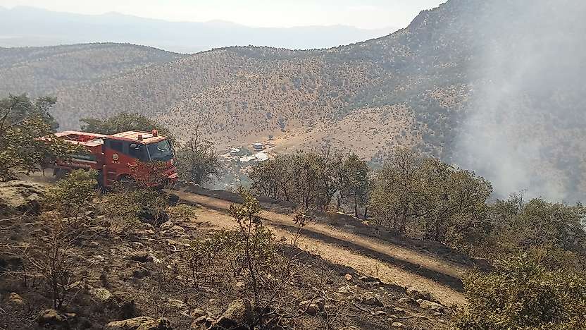 Konya'da ormanlık alanda çıkan yangın söndürüldü