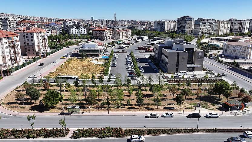 Konya'da tramvay çalışmasında dikkat çeken karar! Ağaçlar kurtarıldı