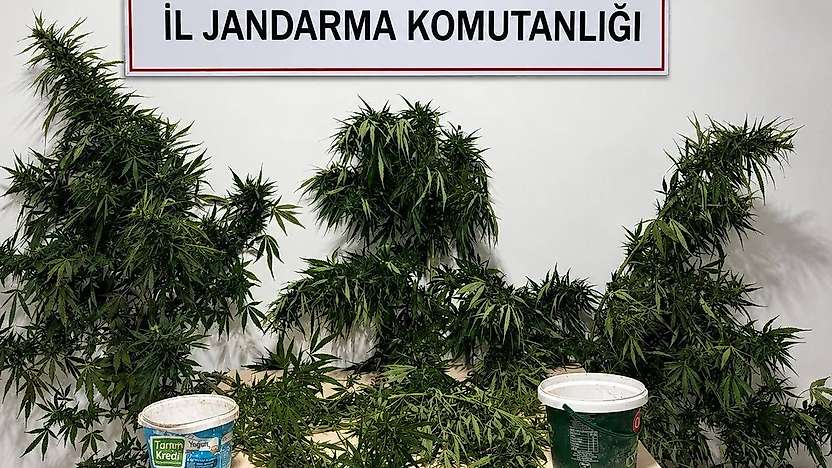 Konya'da uyuşturucuya geçit yok! 6 şüpheli tutuklandı