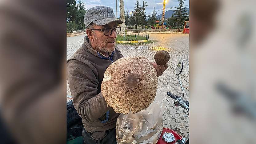 Konya'da vatandaşın karşılaştığı manzara şaşırttı