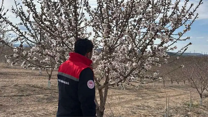 Konya'da zirai dona karşı çalışmalar sürüyor