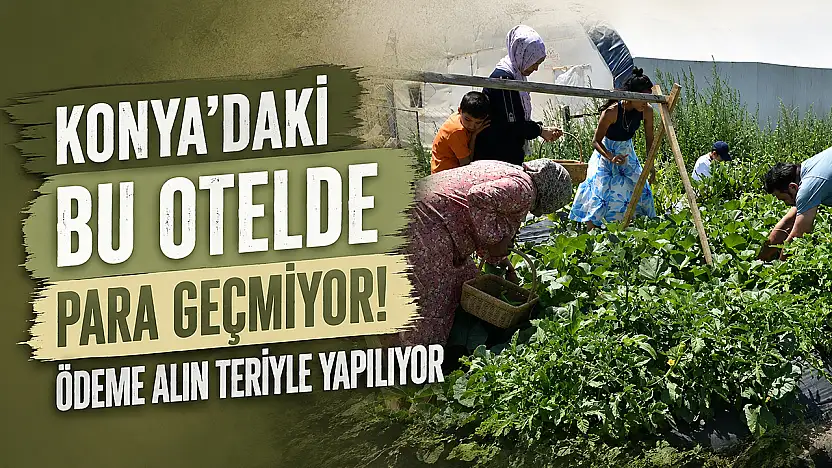Konya'daki bu otelde para geçmiyor! Ödeme alın teriyle yapılıyor