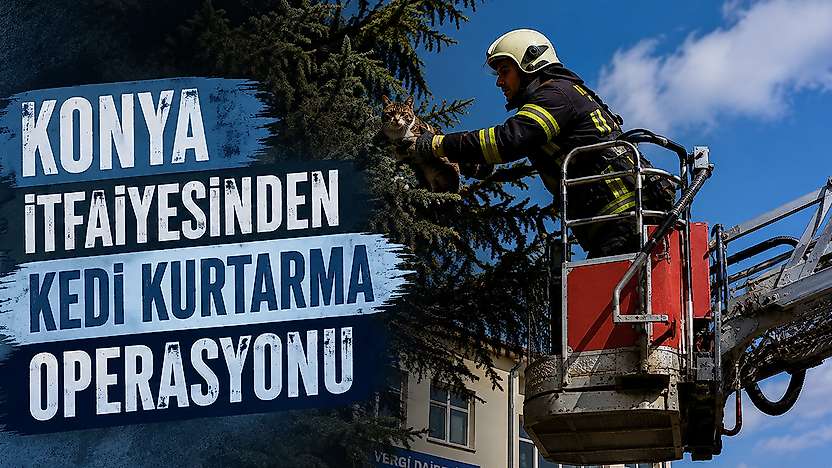 Konya itfaiyesinden kedi kurtarma operasyonu