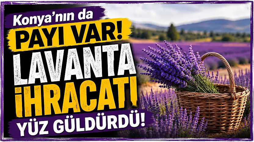 Konya'nın da payı var! Lavanta ihracatı yüz güldürdü