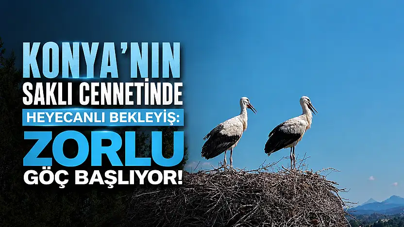 Konya'nın saklı cennetinde heyecanlı bekleyiş: Zorlu göç başlıyor!