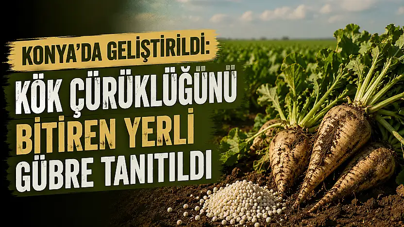 Konya Şekerden pancar üreticisine müjde: Maliyetler düşüyor!