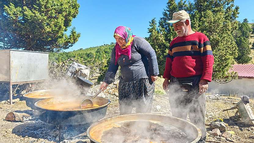 Konya sınırında şifa: Toroslar'da organik harnup pekmezi