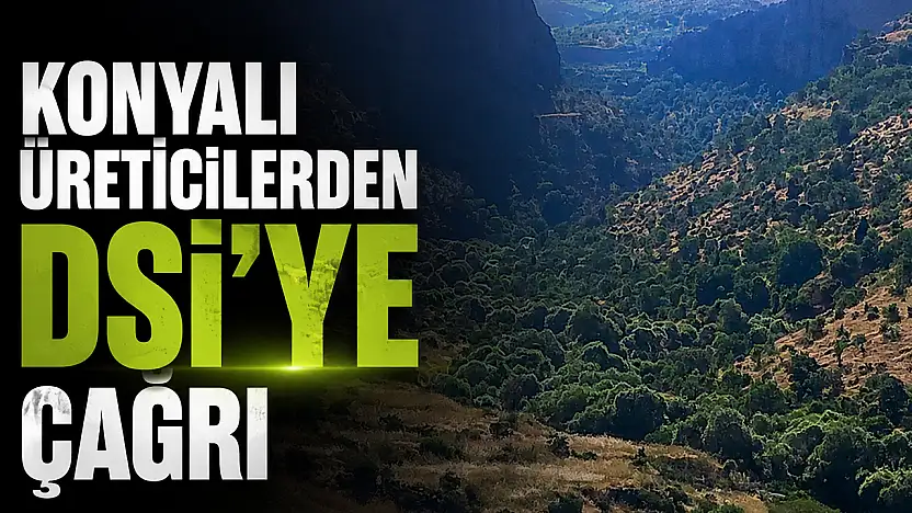 Konyalı üreticilerden DSİ'ye çağrı