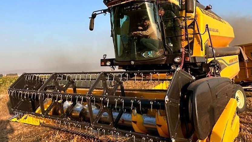 Tahıl ambarı Konya'ya yeni tohum: Çetin kışa meydan okuyor