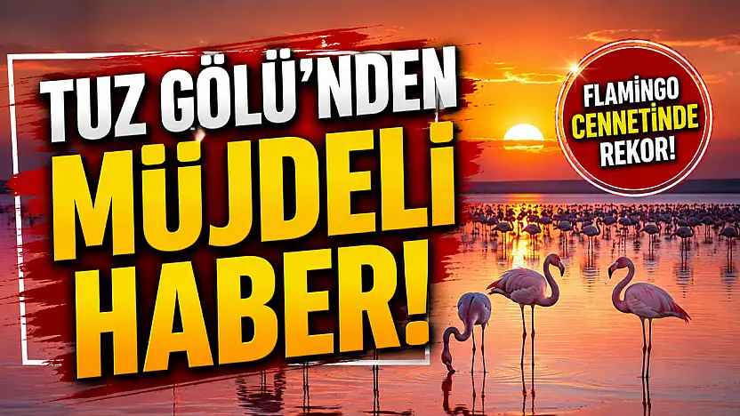 Tuz Gölü'nden müjdeli haber!