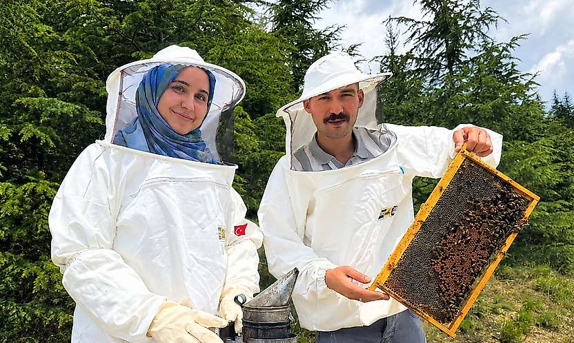 Hububat diyarı Konya arıcılıkta da iddialı: Kovan sayısı rekor kırdı