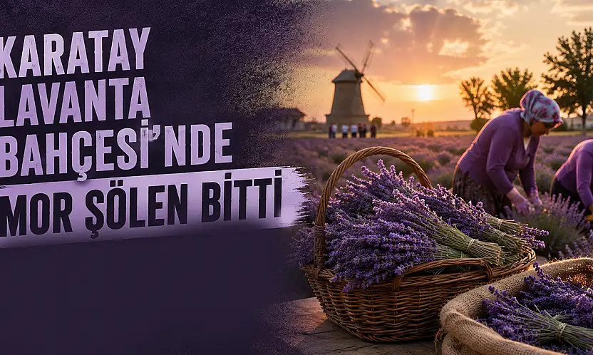 Karatay Lavanta Bahçesi'nde mor şölen bitti, hasat mesaisi başladı