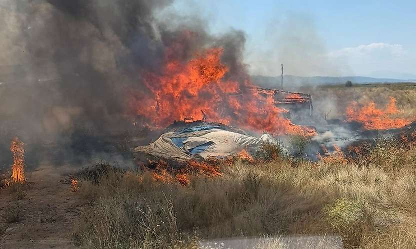 Konya'da alevler ormana sıçramadan söndürüldü