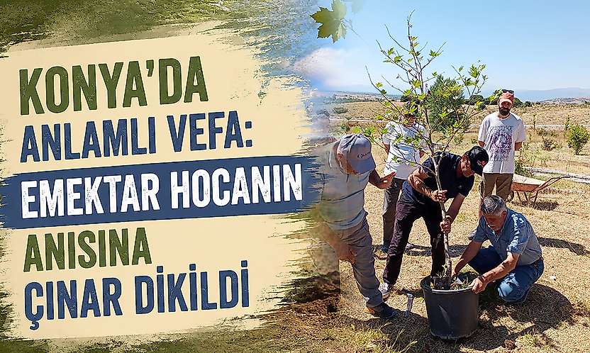 Konya'da anlamlı vefa: Emektar hocanın anısına çınar dikildi