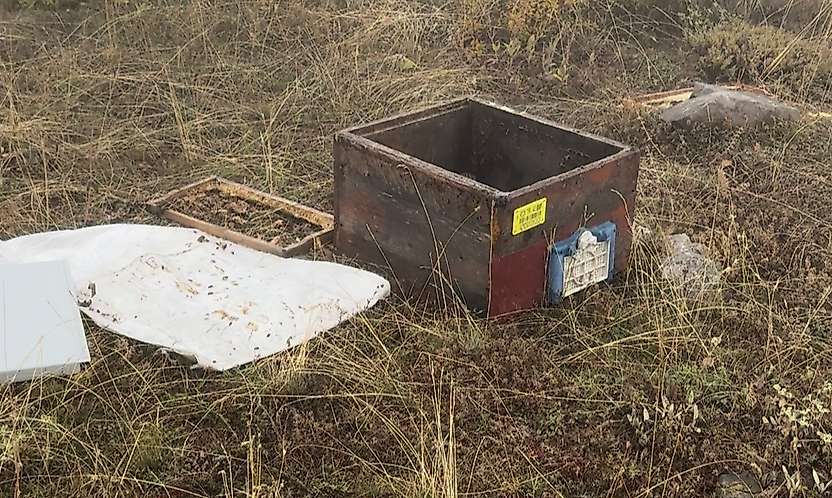 Konya'da ayı kovanlara saldırdı, üreticinin tepkisi dikkat çekti
