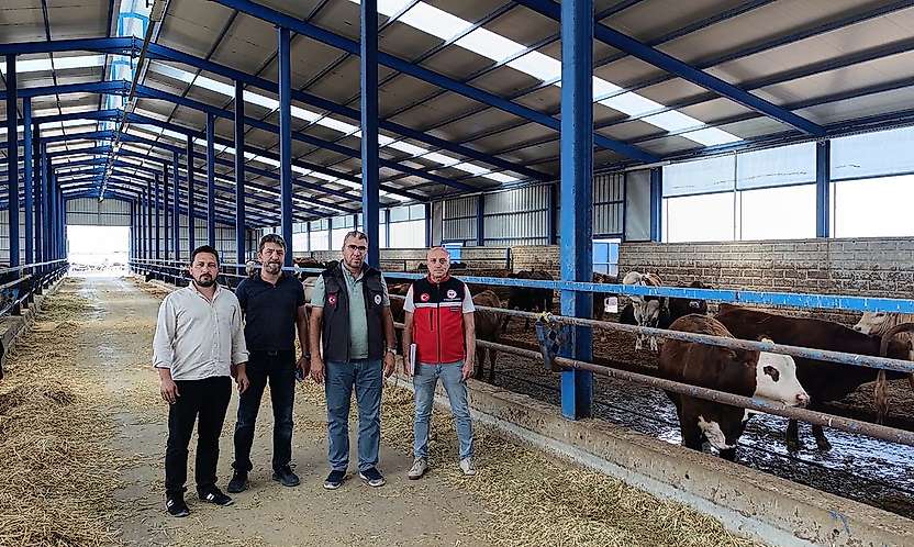 Konya'da besilik sığırlara sıkı denetim!