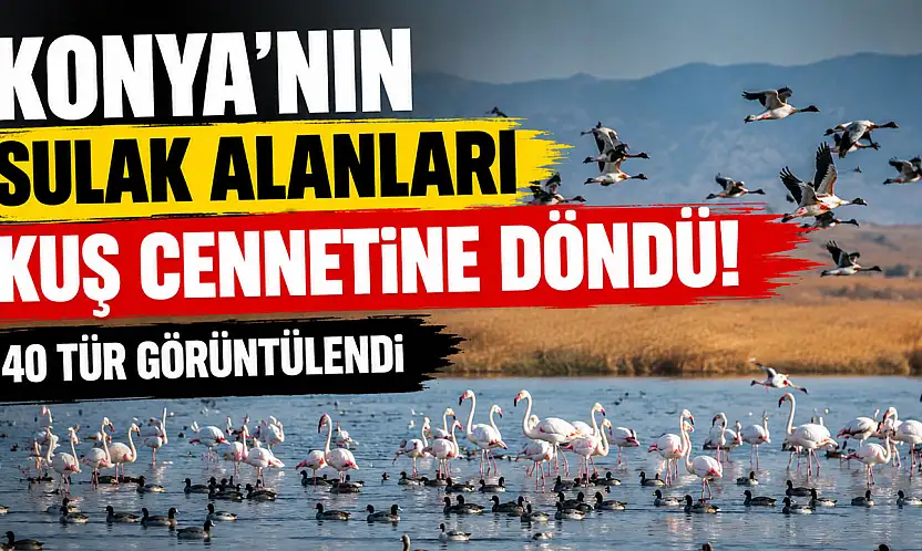 Konya'da binlercesi aynı anda görüntülendi