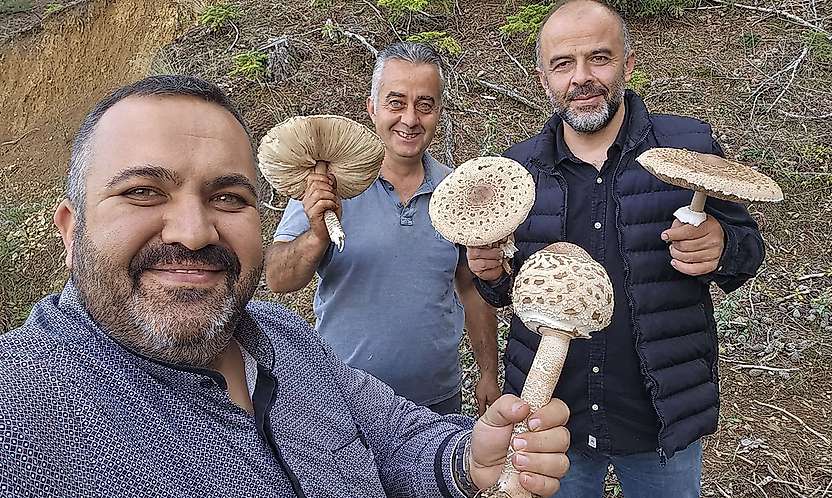 Konya'da ilginç mantar hasadı: O anlar sosyal medyada paylaşıldı