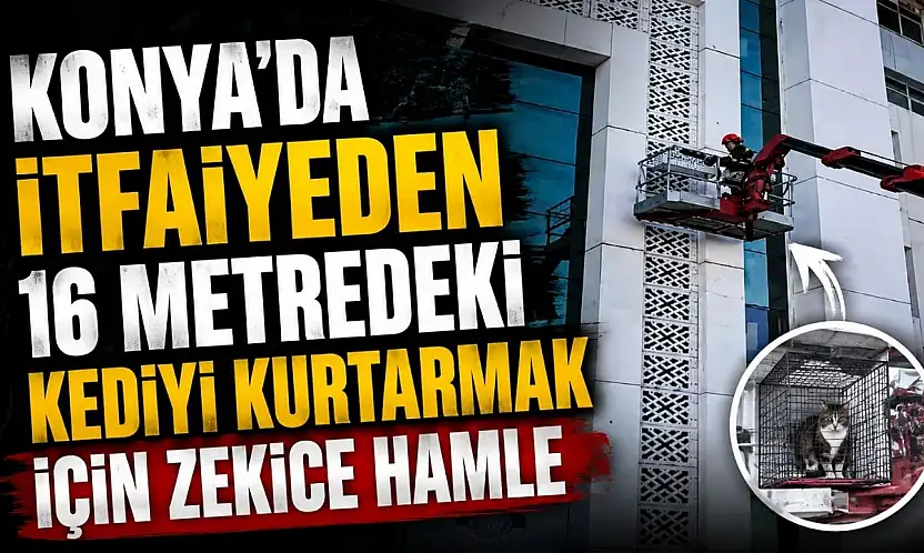Konya'da itfaiyeden 16 metredeki kediyi Kurtarmada zekice hamle