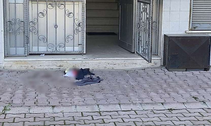 Konya'da kedi tüyü kavgası kanlı bitti