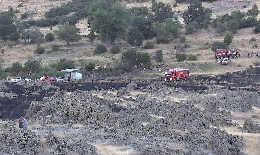 Konya'da korkutan orman yangını