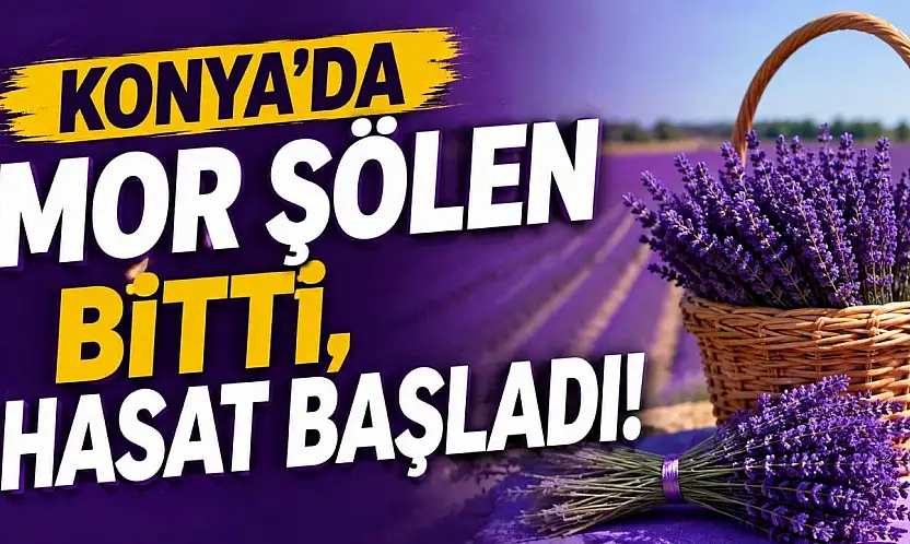 Konya'da mor şölen bitti, hasat başladı!