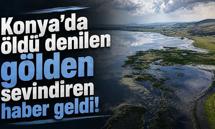 Konya'da öldü denilen gölden sevindiren haber geldi!