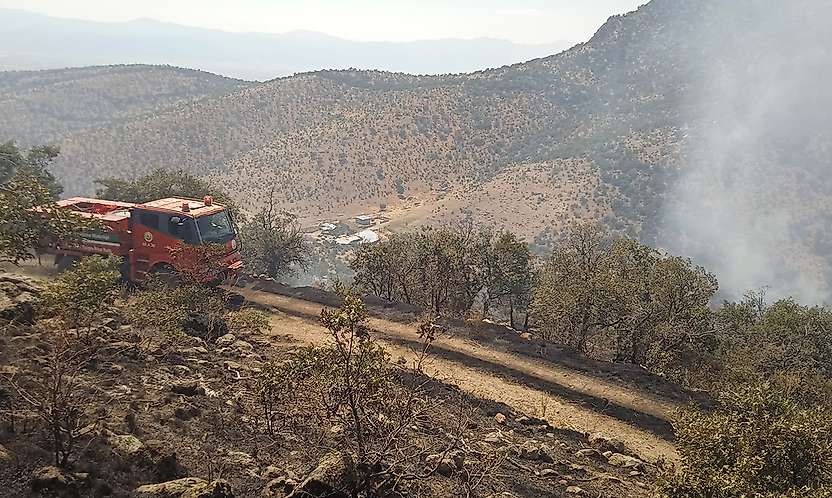 Konya'da ormanlık alanda çıkan yangın söndürüldü