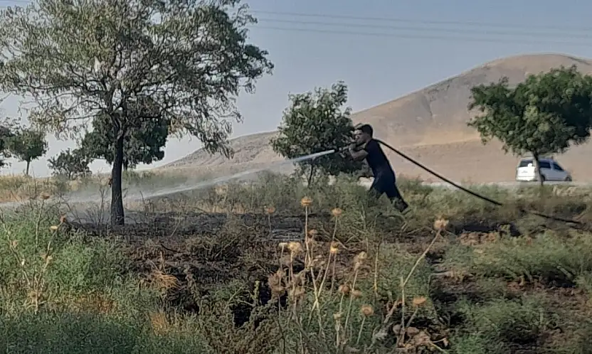 Konya'da ot yangını paniğe neden oldu