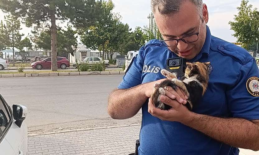 Konya'da otomobilin motoruna giren yavru kedi böyle kurtarıldı