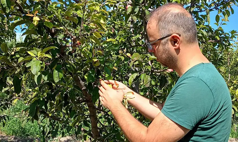 Konya'da tarlalar mercek altında: Ekipler sahada