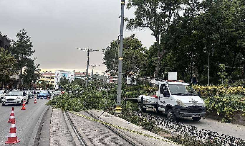 Konya'da tramvay yoluna ağaç devrildi 1 çocuk yaralandı