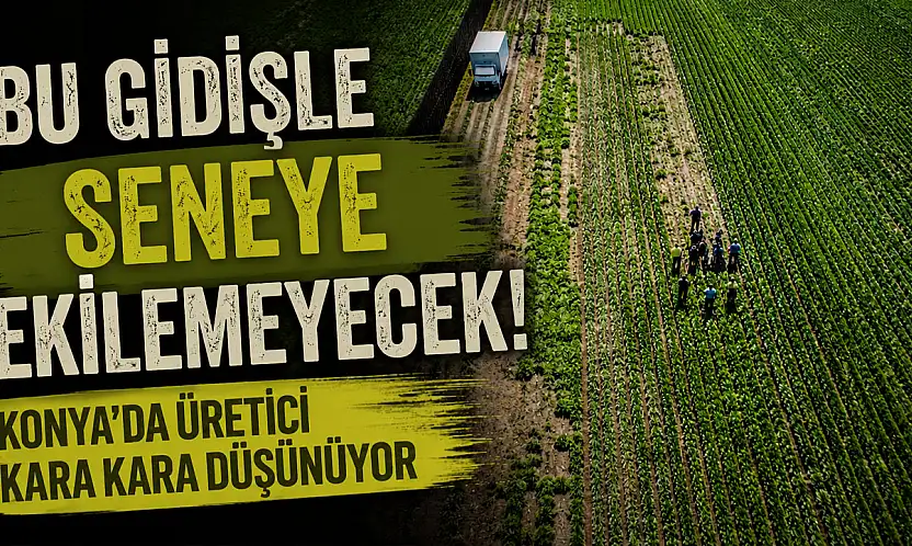 Konya'da üretici zorda! Hasat var, alıcı yok