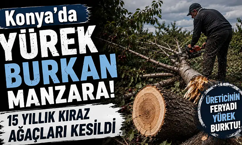 Konya'da üreticinin isyanı yürekleri burktu
