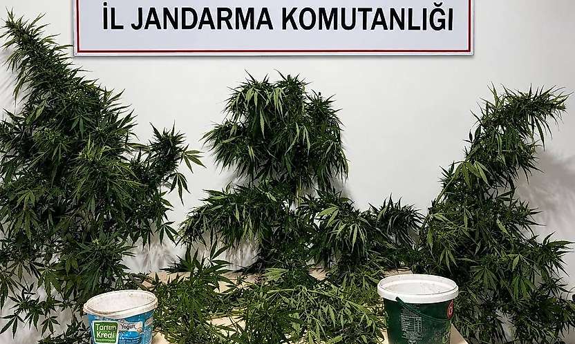 Konya'da uyuşturucuya geçit yok! 6 şüpheli tutuklandı