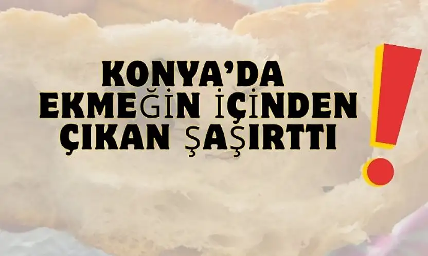 Konya'da vatandaş ekmeği bölünce gördüğü manzara şok etti!