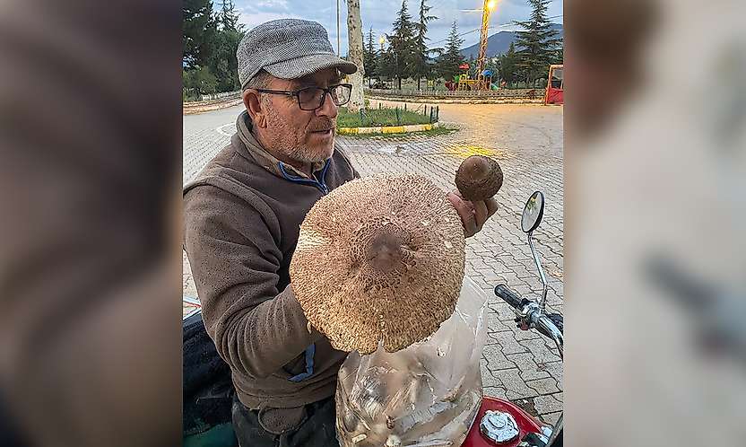 Konya'da vatandaşın karşılaştığı manzara şaşırttı
