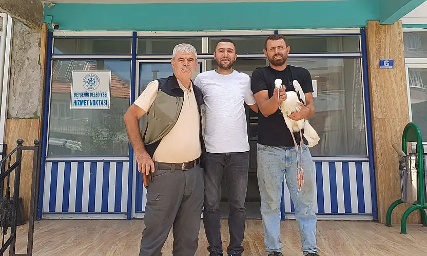 Konya'da yaralı leylek için seferber olundu