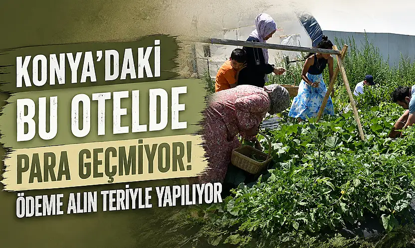 Konya'daki bu otelde para geçmiyor! Ödeme alın teriyle yapılıyor