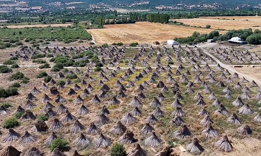 Konya'daki gölden Avrupa'ya uzanan emek!
