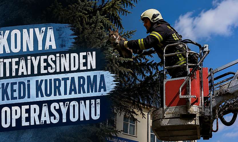 Konya itfaiyesinden kedi kurtarma operasyonu