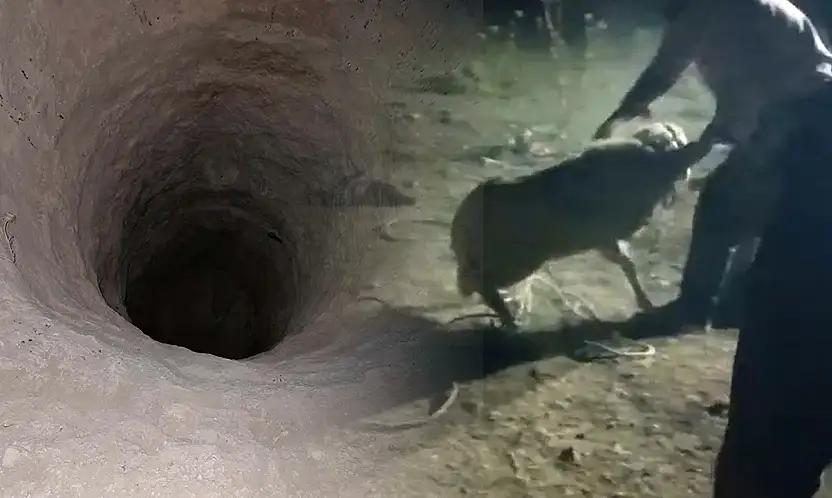 Konya mucize kurtarış! İki gün çukurda kaldı