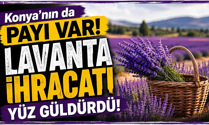 Konya'nın da payı var! Lavanta ihracatı yüz güldürdü