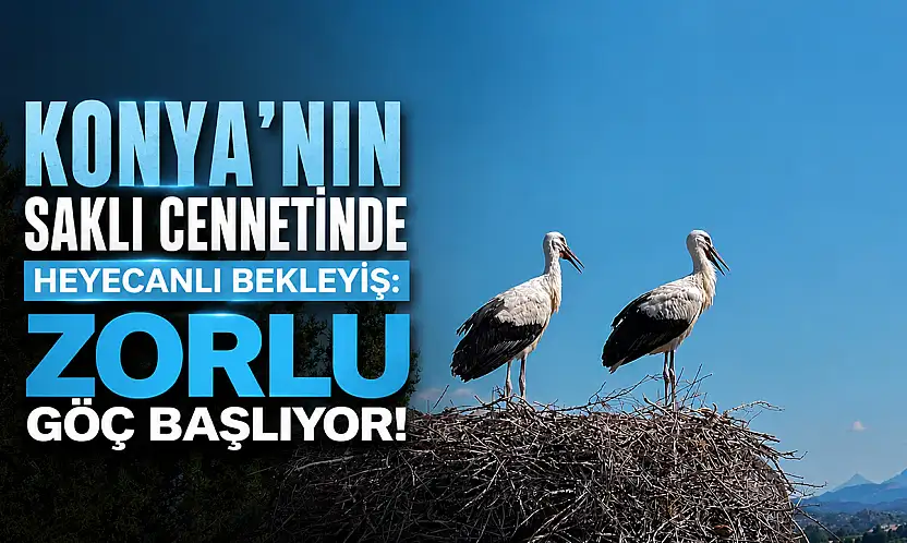 Konya'nın saklı cennetinde heyecanlı bekleyiş: Zorlu göç başlıyor!