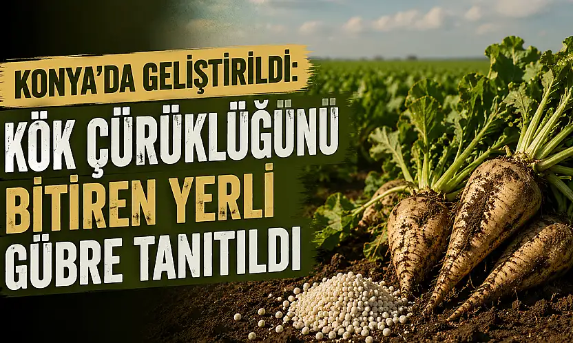 Konya Şekerden pancar üreticisine müjde: Maliyetler düşüyor!