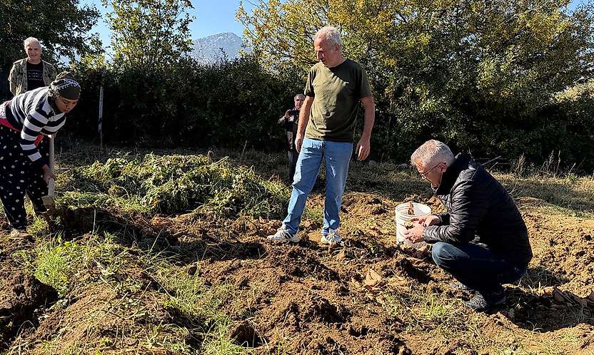 Konya Seydişehir'de alternatif ürün hamlesi: Tatlı patateste ilk hasat