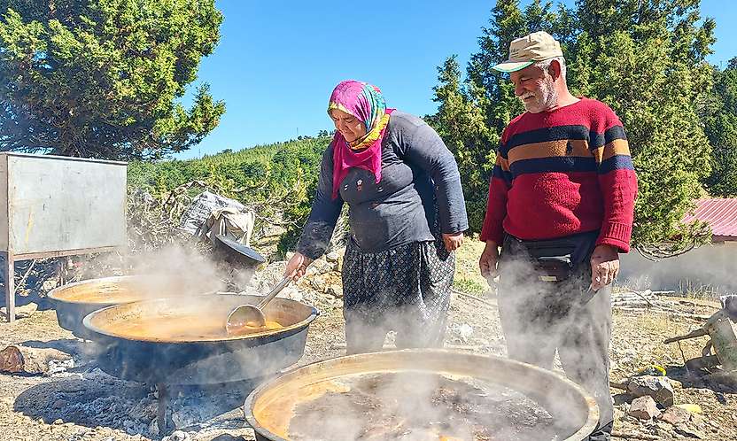 Konya sınırında şifa: Toroslar'da organik harnup pekmezi