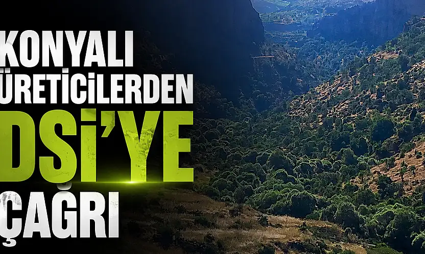 Konyalı üreticilerden DSİ'ye çağrı
