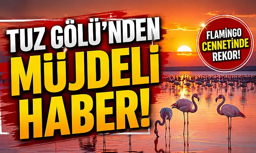 Tuz Gölü'nden müjdeli haber!